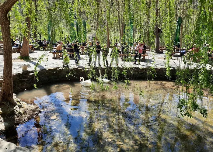 Apartman Katarina 3 By Interhome Brodarica (Sibenik-Knin)